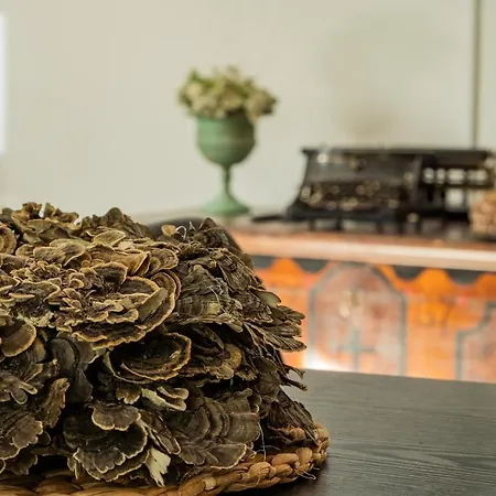 House Of Ferienhaus Bled