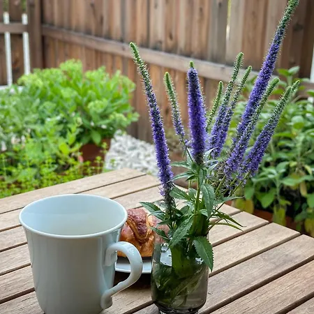 House Of Nyaraló Bled