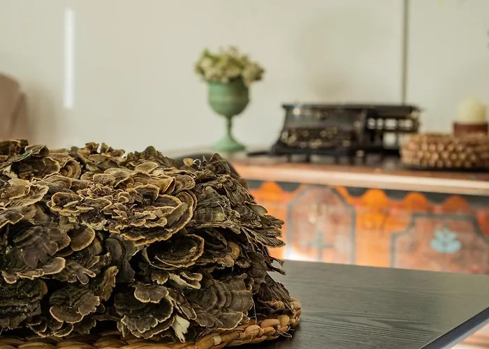 House Of Casa vacanze Bled